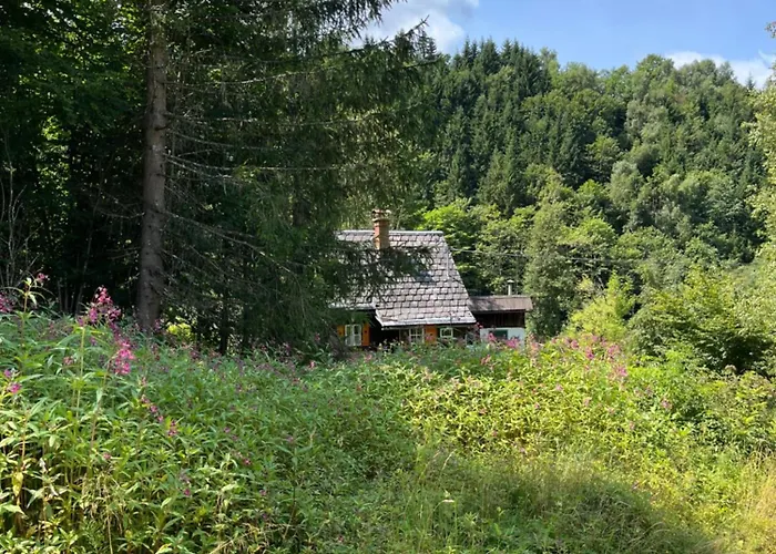 Ferienhuette بيت للعطل أدمونت